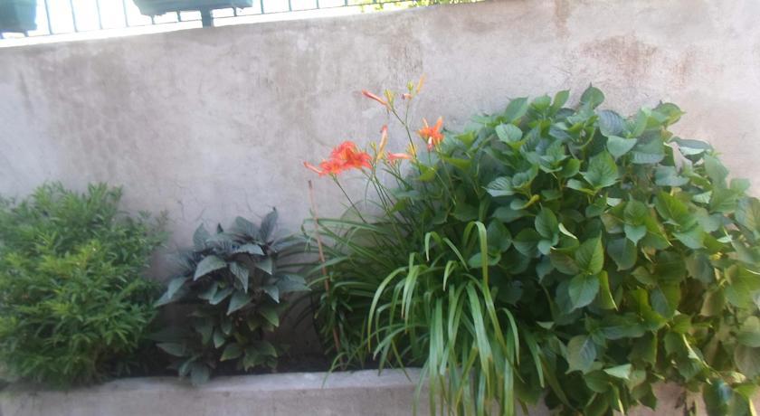 Savic Apartments Kotor Cameră foto